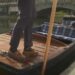 Punting on the River Cam